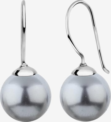 Nenalina Earrings in Silver: front