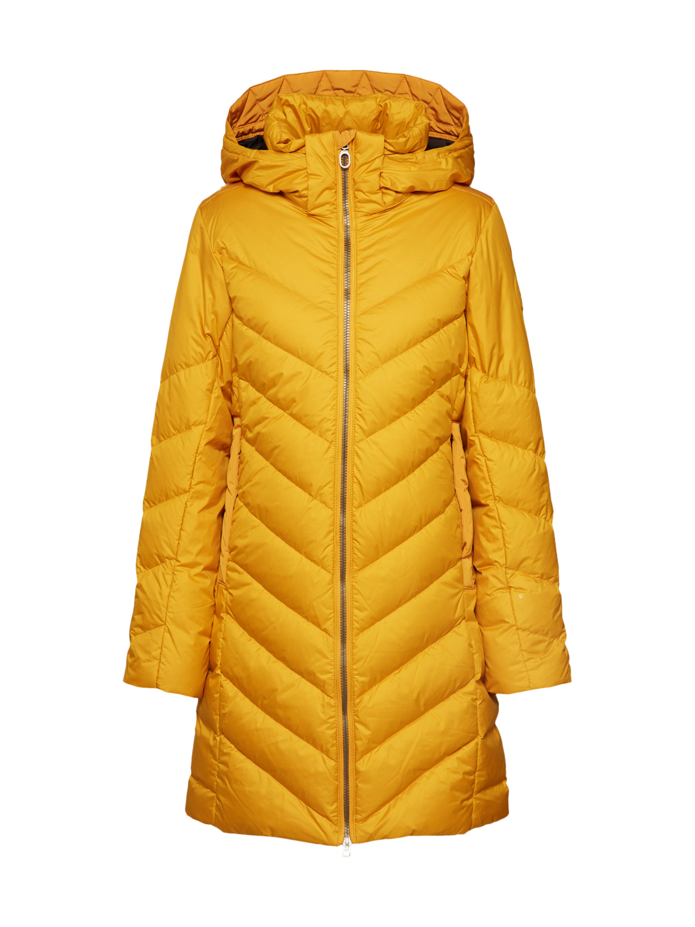 G-Star RAW Zimný kabát 'Whistler' - zlatá: Pohľad spredu