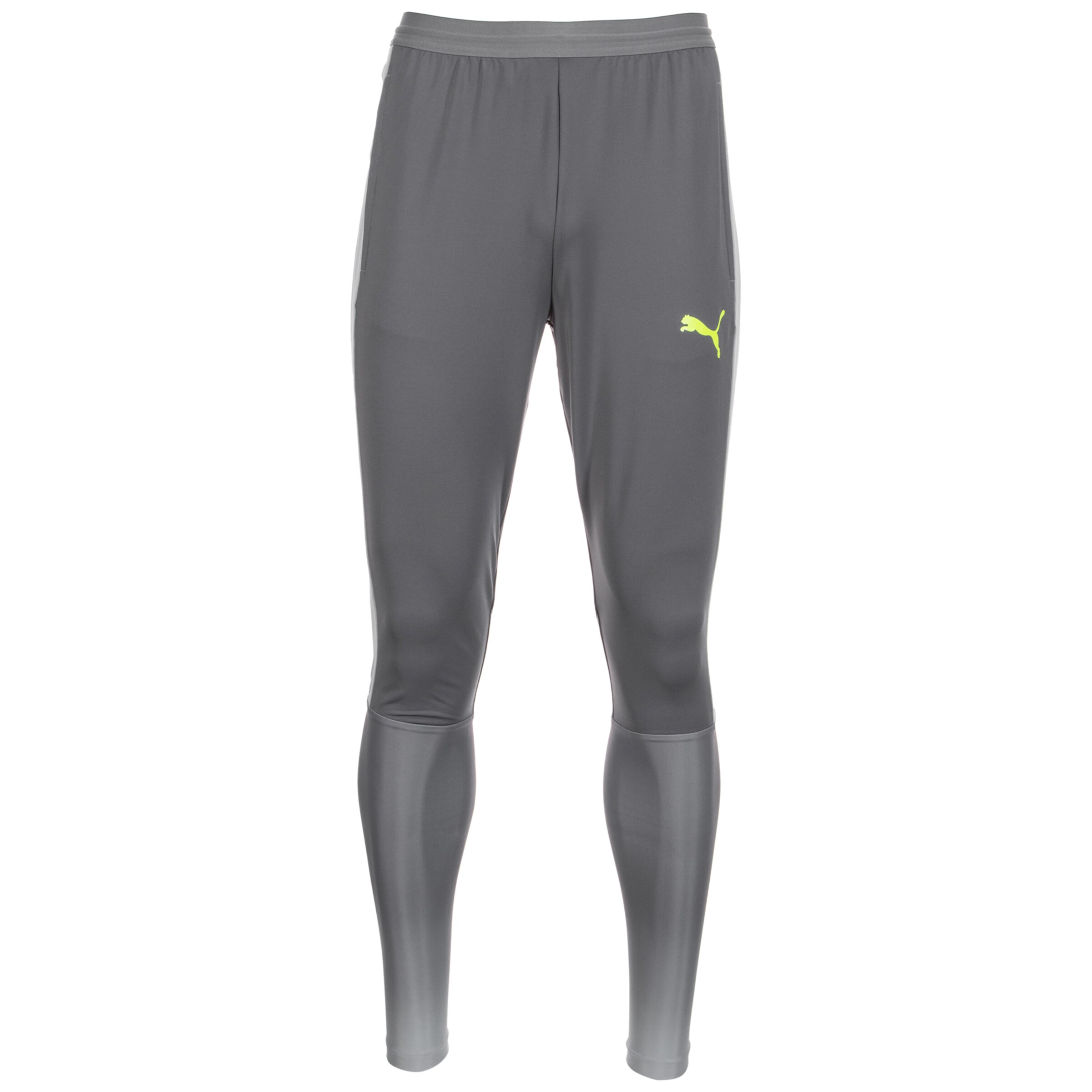 PUMA - Sportbroek 'evoTRG Tech' in de kleur Grijs