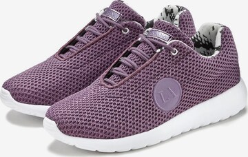 LASCANA Låg sneaker i lila: framsida