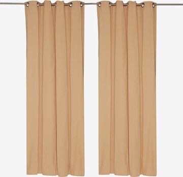 TOM TAILOR Curtains & Drapes in Beige: front