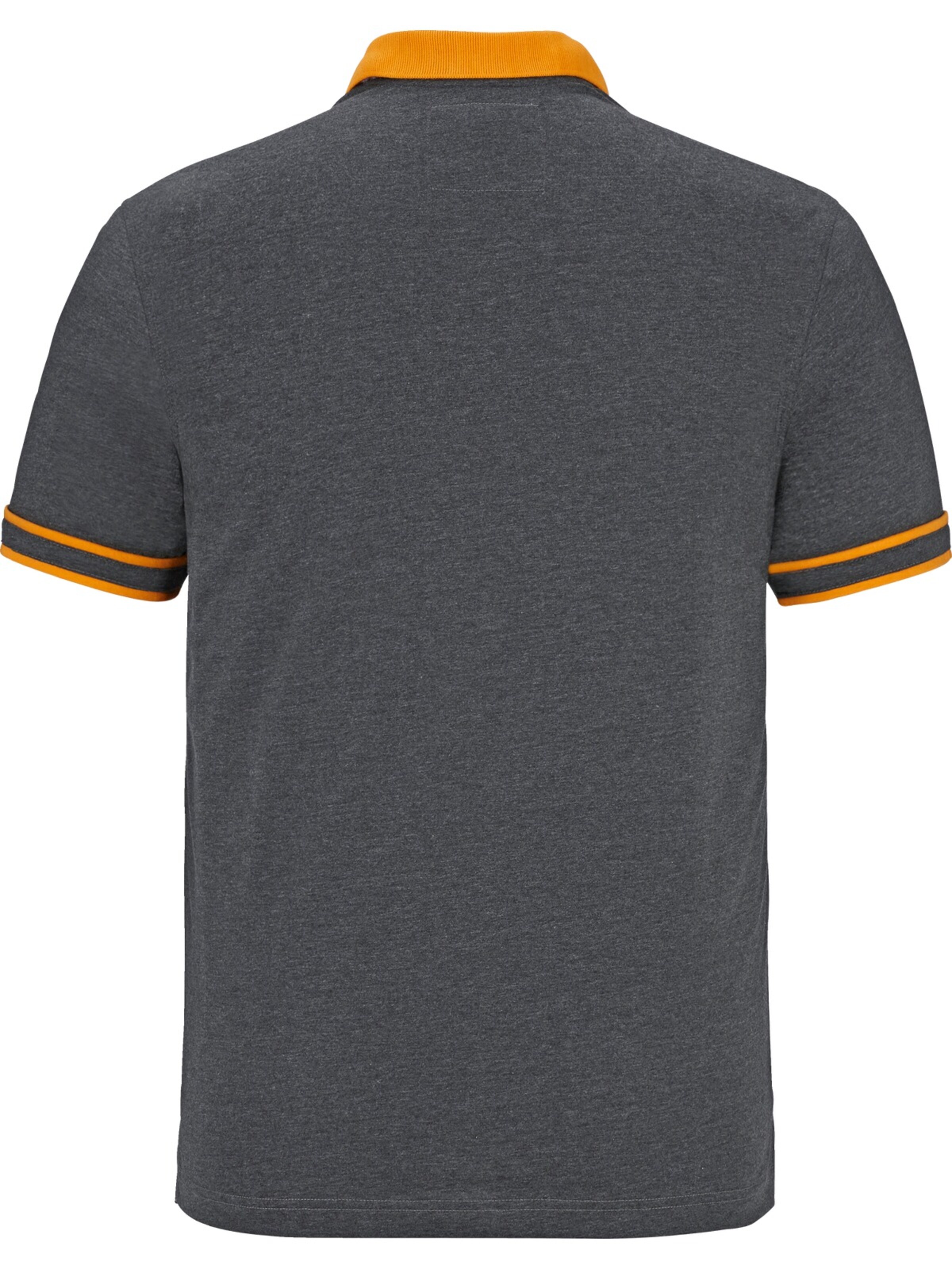 Jan Vanderstorm Poloshirt 'Isfried' in Grau