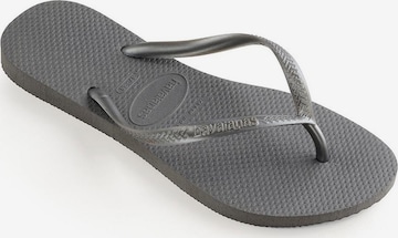 HAVAIANAS Flip-Flops 'Slim' i grå