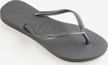 HAVAIANAS Japonki 'Slim' w kolorze szary