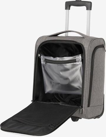 TRAVELITE Cart in Grey