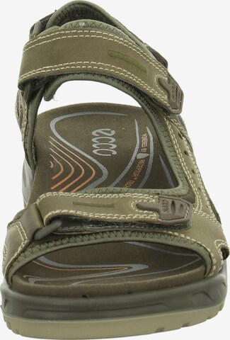 ECCO Sandals in Green