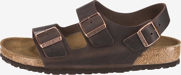 Sandales 'Milano' BIRKENSTOCK en marron