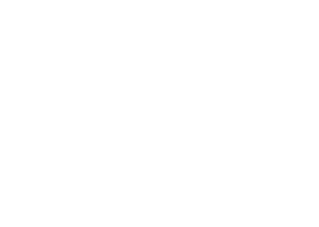 nae Vegan Shoes Logo