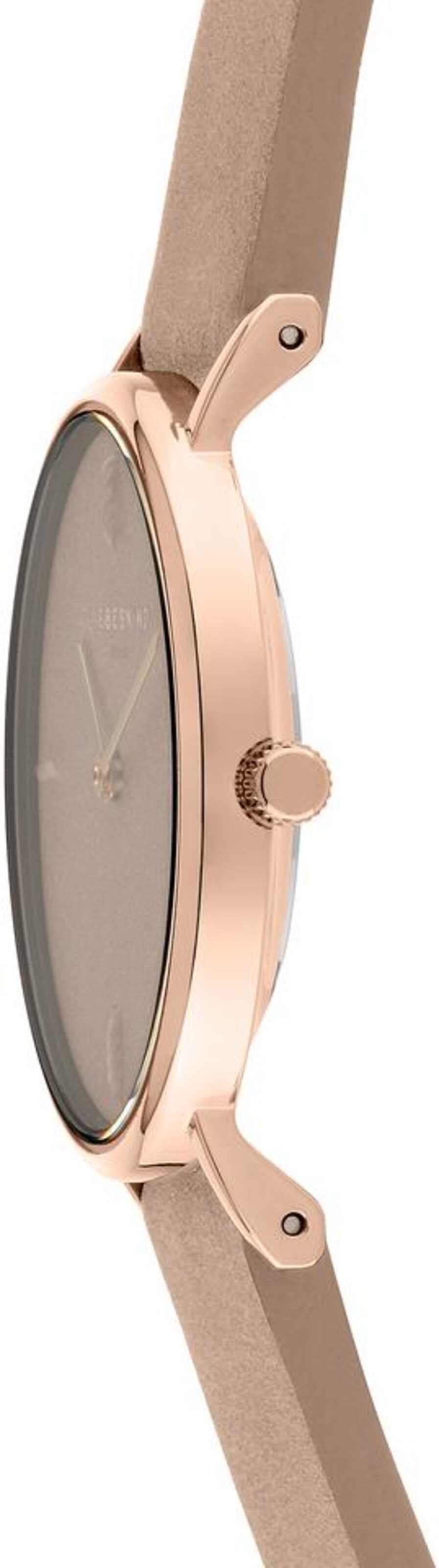 Liebeskind Berlin Uhr in Gold