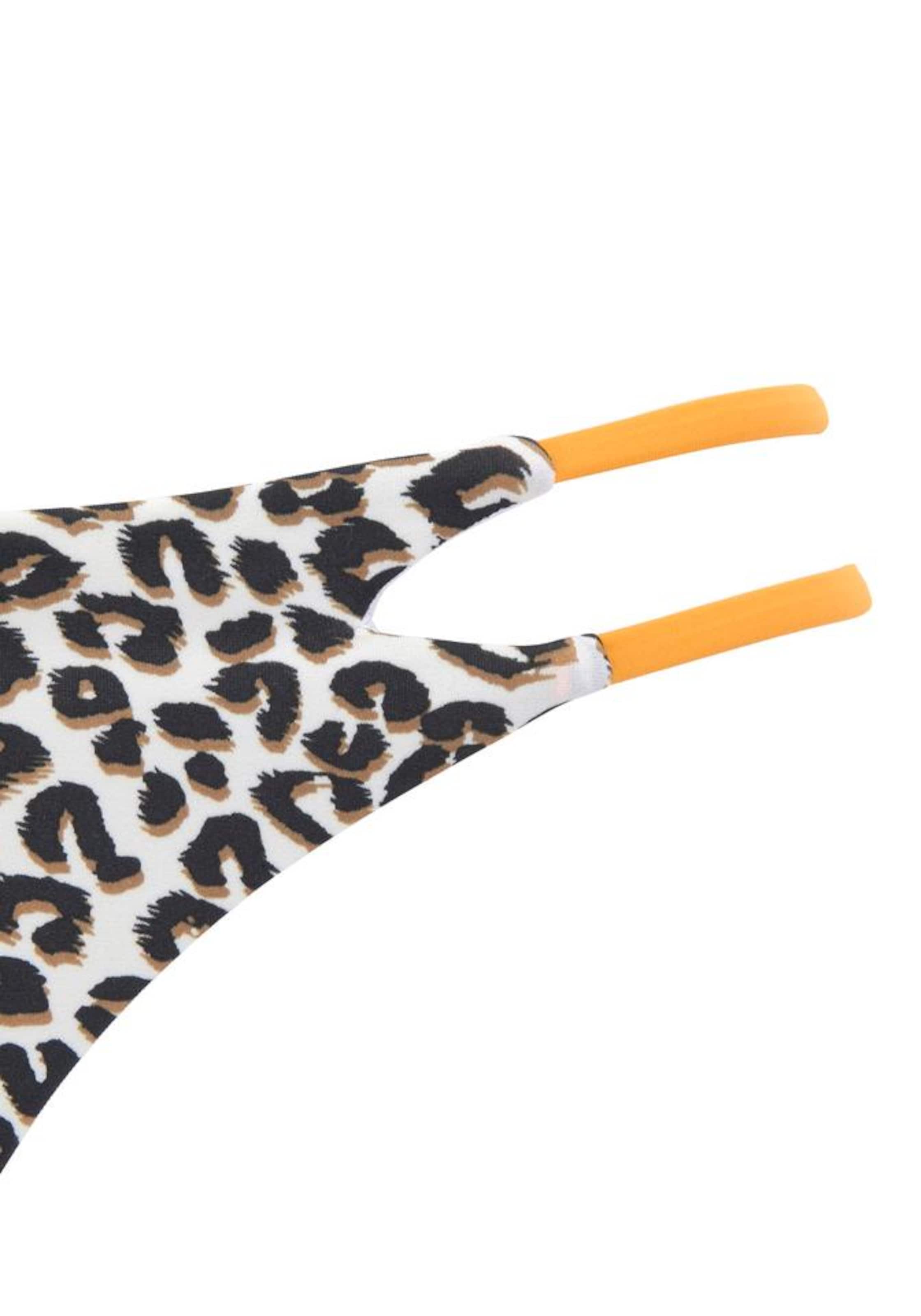 BUFFALO Bikini bottom in Brown