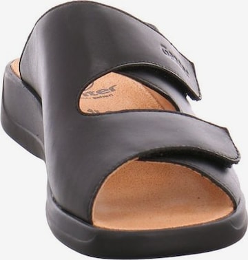 Ganter Mules in Black