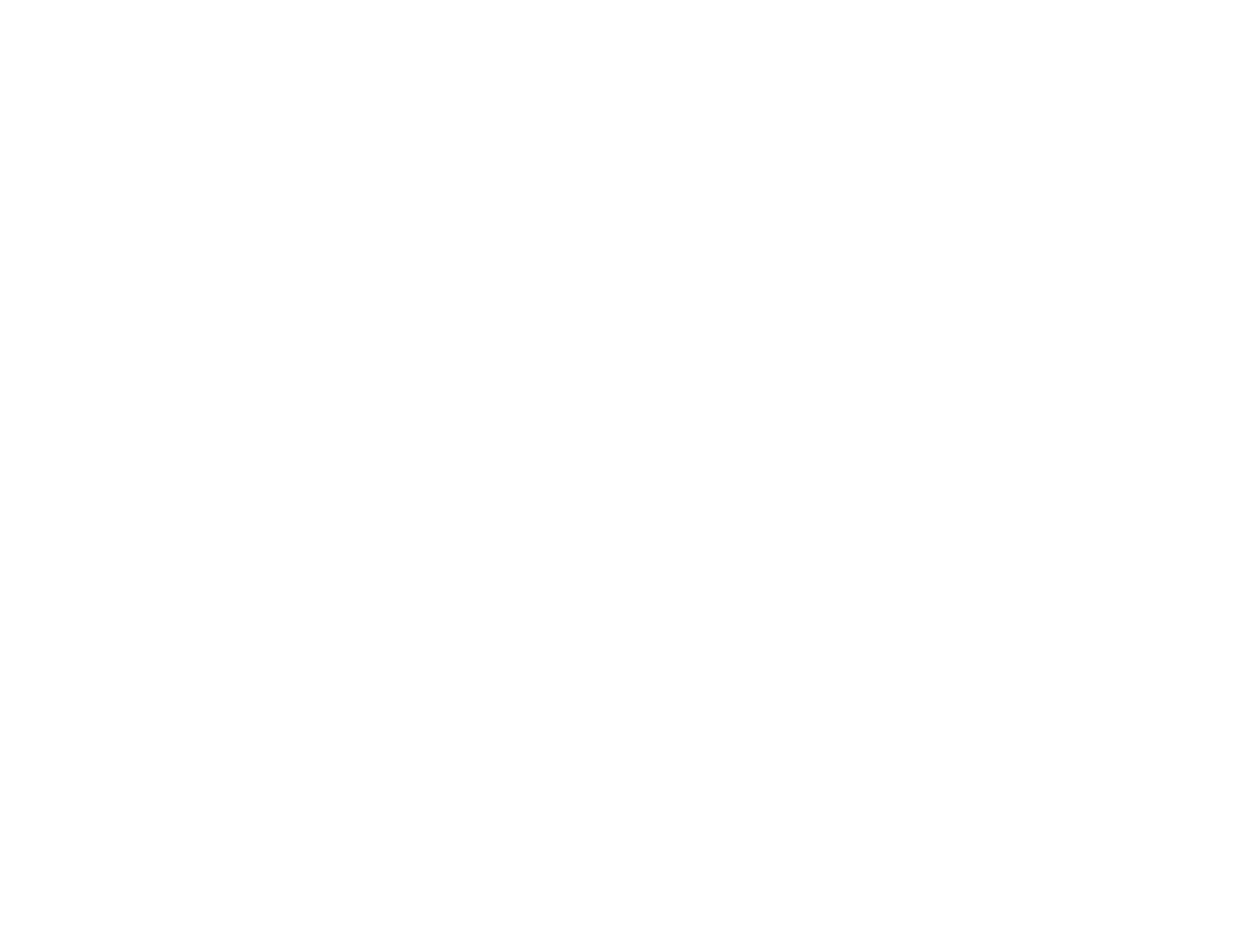 Sanetta Logo