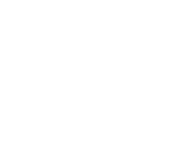 SANETTA Logo