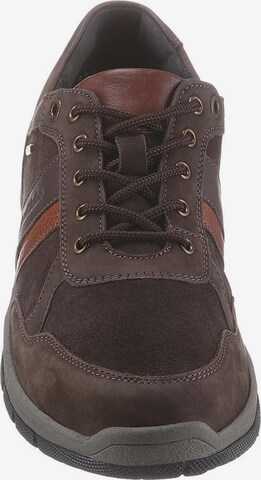 JOSEF SEIBEL Athletic Lace-Up Shoes 'Lenny' in Brown