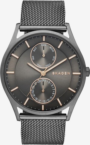 SKAGEN Uhr 'HOLST' in Grau