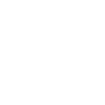 Boston Park Logo
