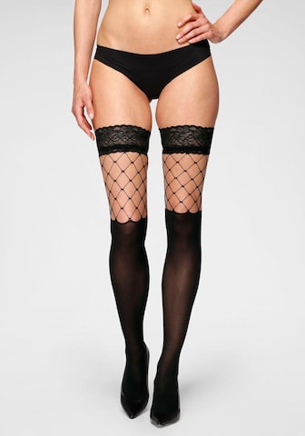 PETITE FLEUR GOLD Hold-up stockings in Black