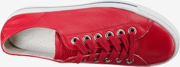 Paul Green Sneakers in Red