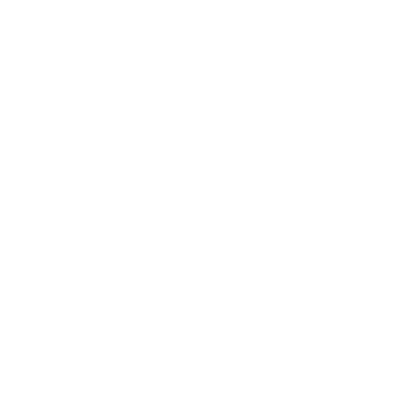 JAN 'N JUNE Logo