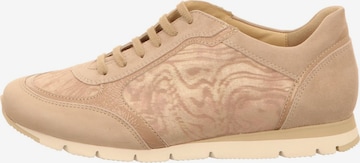 SEMLER Schnürschuhe in Beige