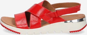 CAPRICE Sandals in Red