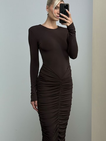 Brown Chic Dress Look
