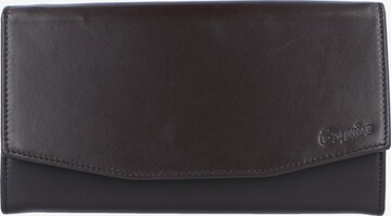Esquire Wallet in Brown: front