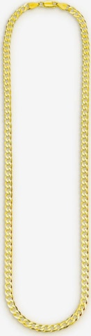 BRUNO BANANI Necklace in Gold: front