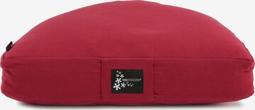 YOGISTAR.COM Pillow in Red: front