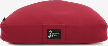 YOGISTAR.COM Pillow in Red: front