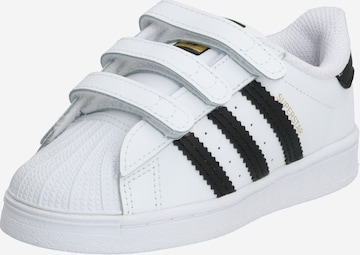 Baskets 'Superstar' ADIDAS ORIGINALS en blanc : devant