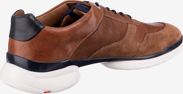 LLOYD Sneaker in Braun