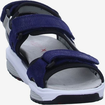 Xsensible Wandelsandalen in Blauw