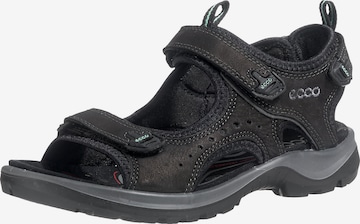 ECCO Hiking Sandals 'Offroad' in Black: front