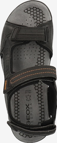 Sandales de randonnée 'U Tevere' GEOX en noir