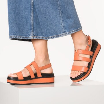 Sandales SHABBIES AMSTERDAM en marron : devant