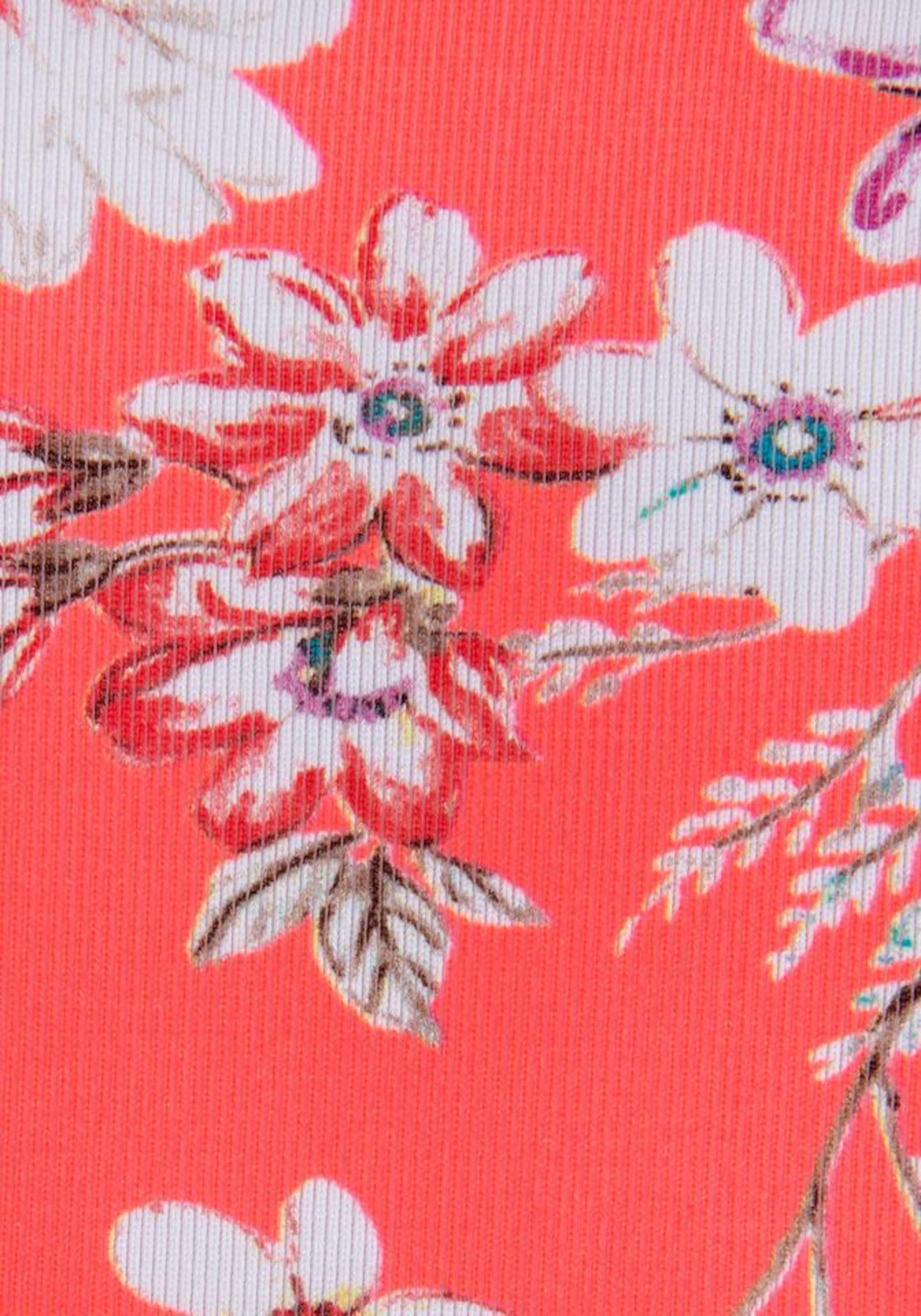 SUNSEEKER Σλιπ μπικίνι 'Ditsy' σε κόκκινο