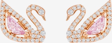 Swarovski - Brincos 'Dazzling Swan' em rosa