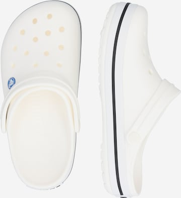 Crocs Μιούλ 'Crocband' σε λευκό