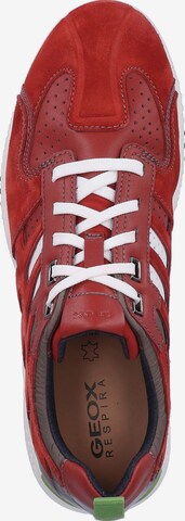 GEOX Sneakers laag 'Snake' in Rood