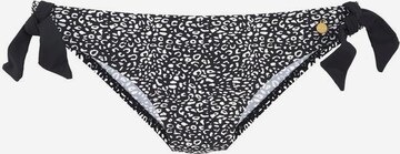 LASCANA Bikini Bottoms 'Leo' in Black: front