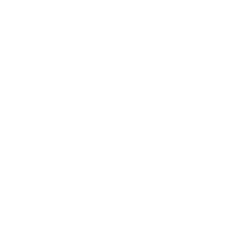 Maier Sports Logo