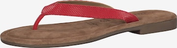 Flip-flops de la TAMARIS pe roșu: față