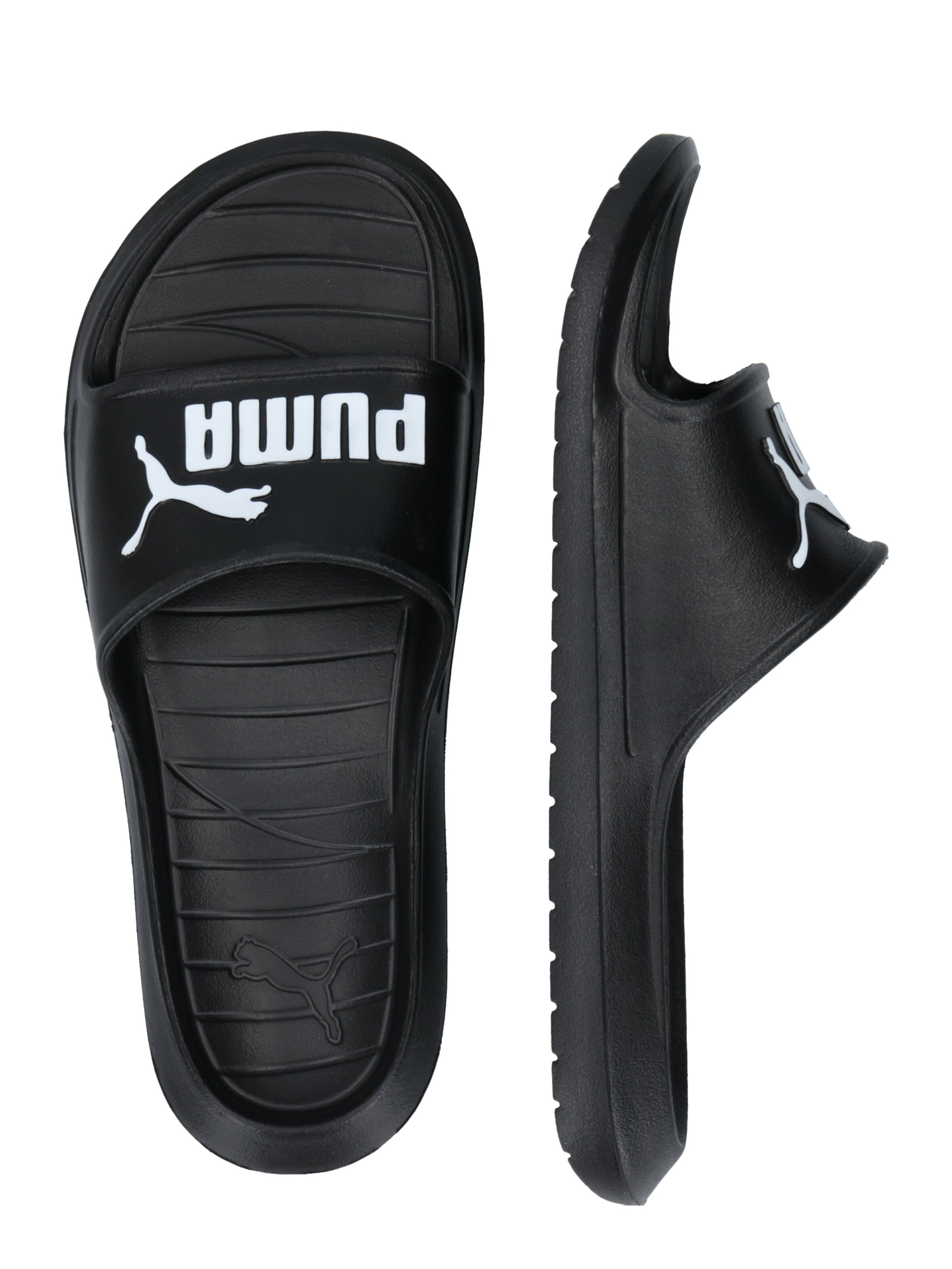 PUMA Badeschuh 'Divecat V2' in Schwarz