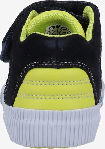 GEOX Sneaker in Blau