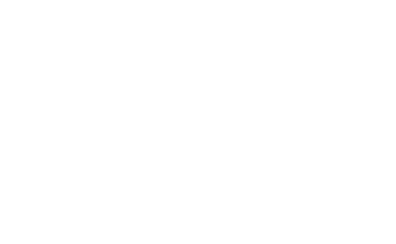 faina Logo