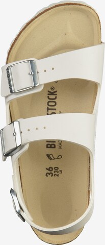 BIRKENSTOCK Sandale 'Milano' in Weiß