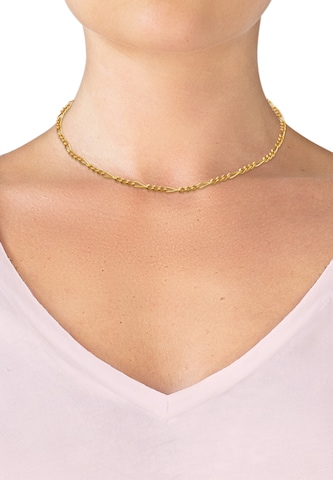 ELLI PREMIUM Halskette Basic Kette, Figaro in Gold