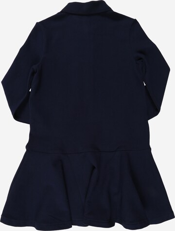 Polo Ralph Lauren Dress in Blue: back