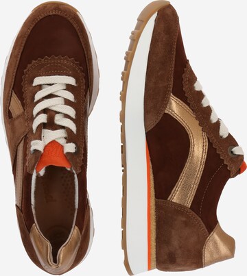 Paul Green Sneakers in Brown